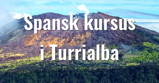 Facebook Share Box bybillede