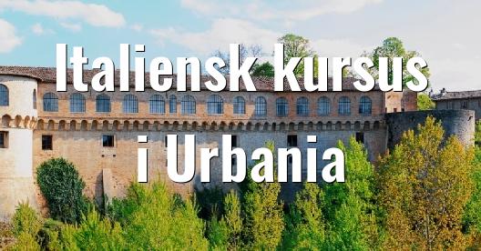 Facebook Share Box bybillede