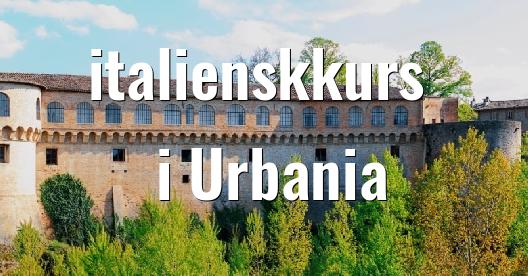 Facebook delingsboks bybilde