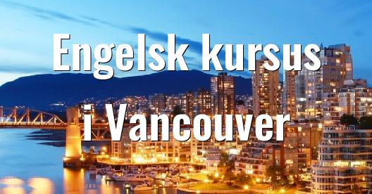 Facebook Share Box bybillede