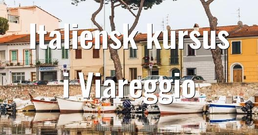 Facebook Share Box bybillede