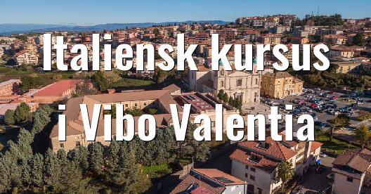 Facebook Share Box bybillede