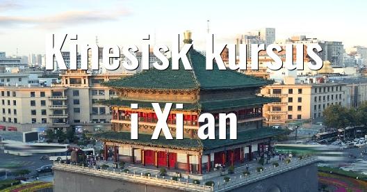 Facebook Share Box bybillede