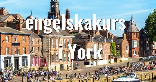 Facebook delningsbox stadssida