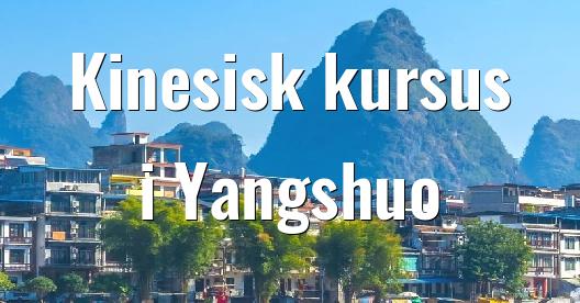 Facebook Share Box bybillede