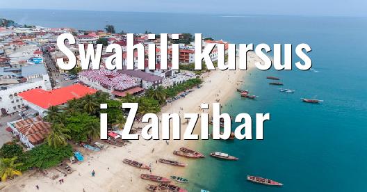 Facebook Share Box bybillede